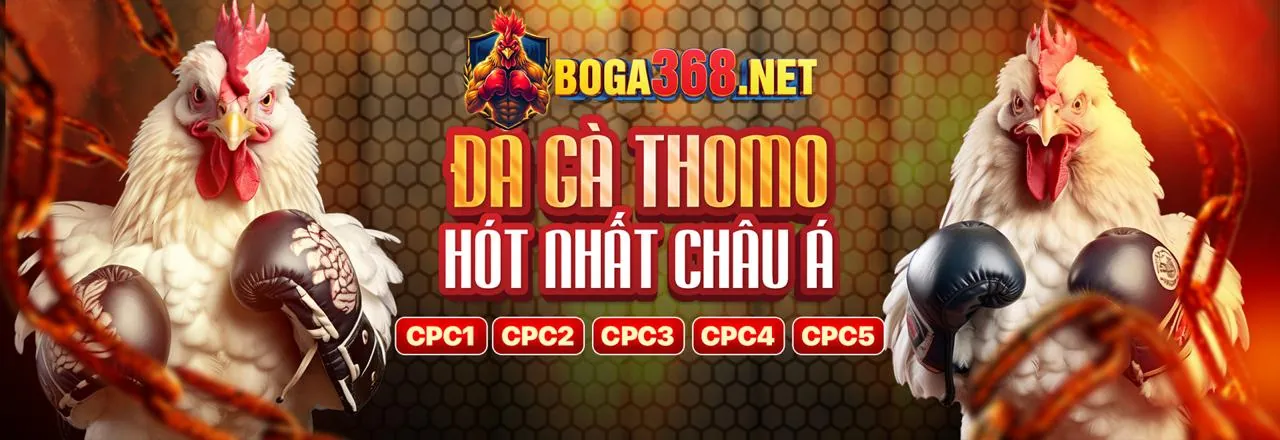 Đá gà trực tuyến may999 link vào
